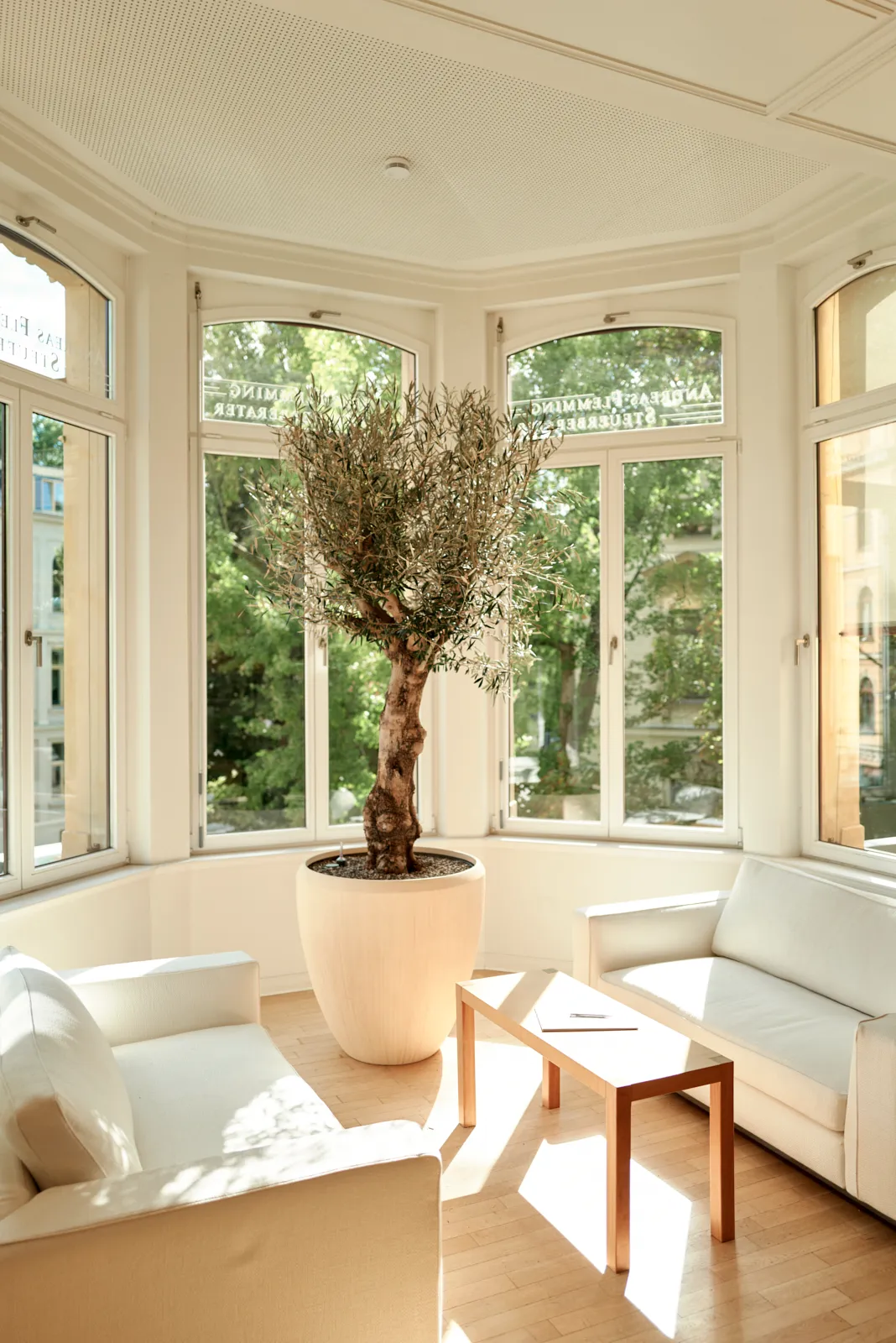 Blick in die Kanzlei, helles, lichtdurchflutetes Büro